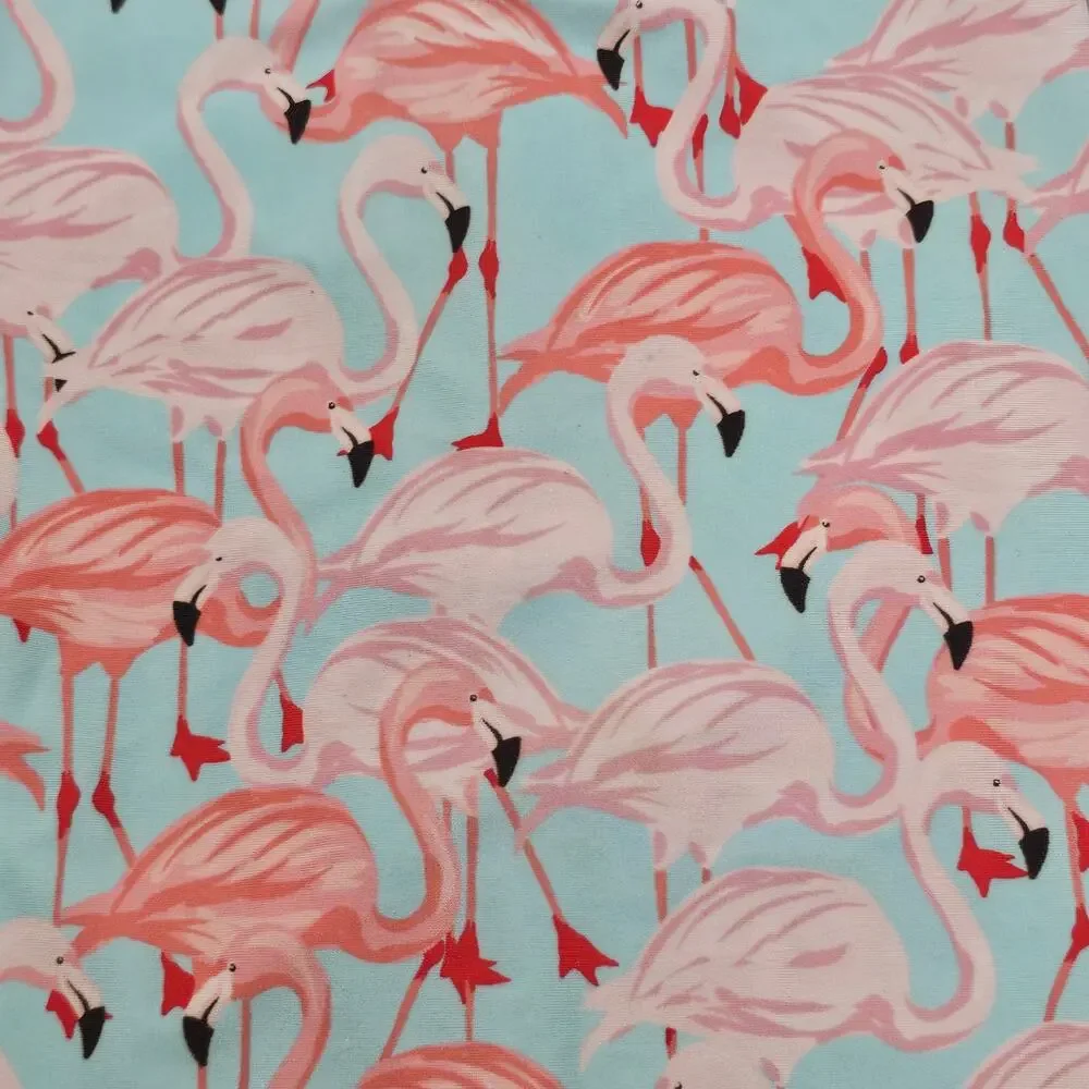 RuffleButts Vibrant Flamingo Long Sleeve One Piece Rash Guard Swimsuit 18-24 MO